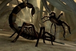 Deadly Creatures (Wii) Игра для Nintendo Wii DVD-ROM, 2009 г Издатель: THQ; Разработчик: Rainbow Studios; Дистрибьютор: Новый Диск пластиковый DVD-BOX Что делать, если программа не запускается? инфо 10890o.