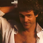 David Sanborn Straight To The Heart Формат: Audio CD (Jewel Case) Дистрибьюторы: Warner Bros Records Inc , Торговая Фирма "Никитин" Германия Лицензионные товары инфо 10315q.